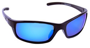 Blue Polarized Sunglasses