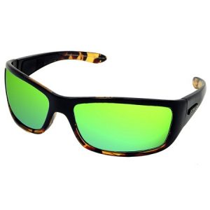 Mirrored Polarized Sunglasses Images